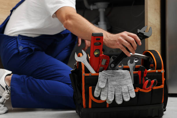 Best Commercial Plumbing Services  in Hanover Park, IL